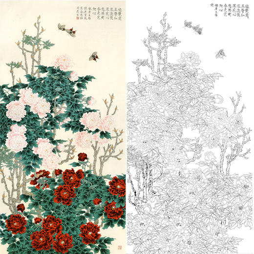 竖幅工笔花鸟白描底稿-周彦生牡丹-《贵气高情》-多种白描尺寸可选-QN17 商品图0