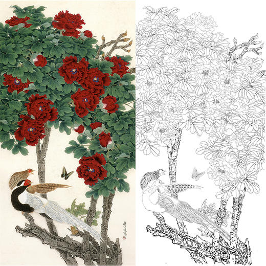 竖幅工笔花鸟白描底稿-周彦生牡丹-《贵紫娇红》-多种白描尺寸可选-QN15 商品图0