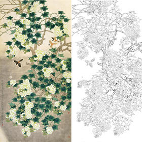 竖幅工笔花鸟白描底稿-周彦生芙蓉花《寒波照影》-多种白描尺寸可选-QN19