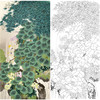 竖幅工笔花鸟白描底稿-鹦鹉-周彦生《雨林传声》-多种白描尺寸可选-QN11 商品缩略图0