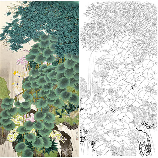 竖幅工笔花鸟白描底稿-鹦鹉-周彦生《雨林传声》-多种白描尺寸可选-QN11 商品图0