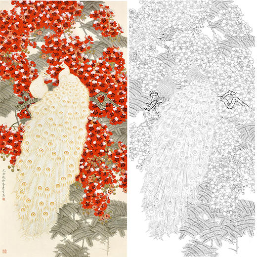 竖幅工笔花鸟白描底稿-周彦生白孔雀《翎顶辉煌》-多种白描尺寸可选-QN20 商品图0