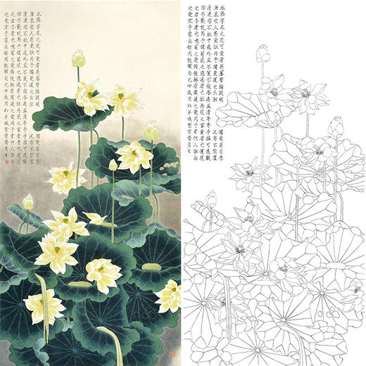 竖幅工笔花鸟白描底稿-周彦生荷花-《香远益清》-多种白描尺寸可选-QN16 商品图0
