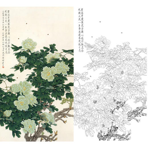 竖幅工笔花鸟白描底稿-周彦生-牡丹-《碧玉》-多种白描尺寸可选-QN18 商品图0