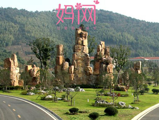 C4【妈网春游】2017/*/* 宜兴云湖乐园挖笋、采茶、做紫砂壶 商品图0