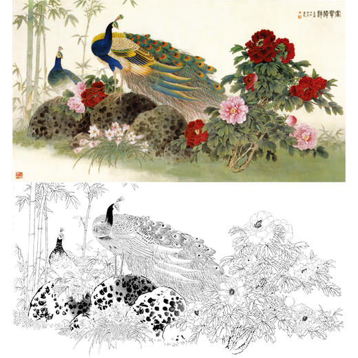 横幅工笔花鸟白描底稿-王庆升-牡丹孔雀《富贵祯祥》-多种白描尺寸可选-QA07 商品图0