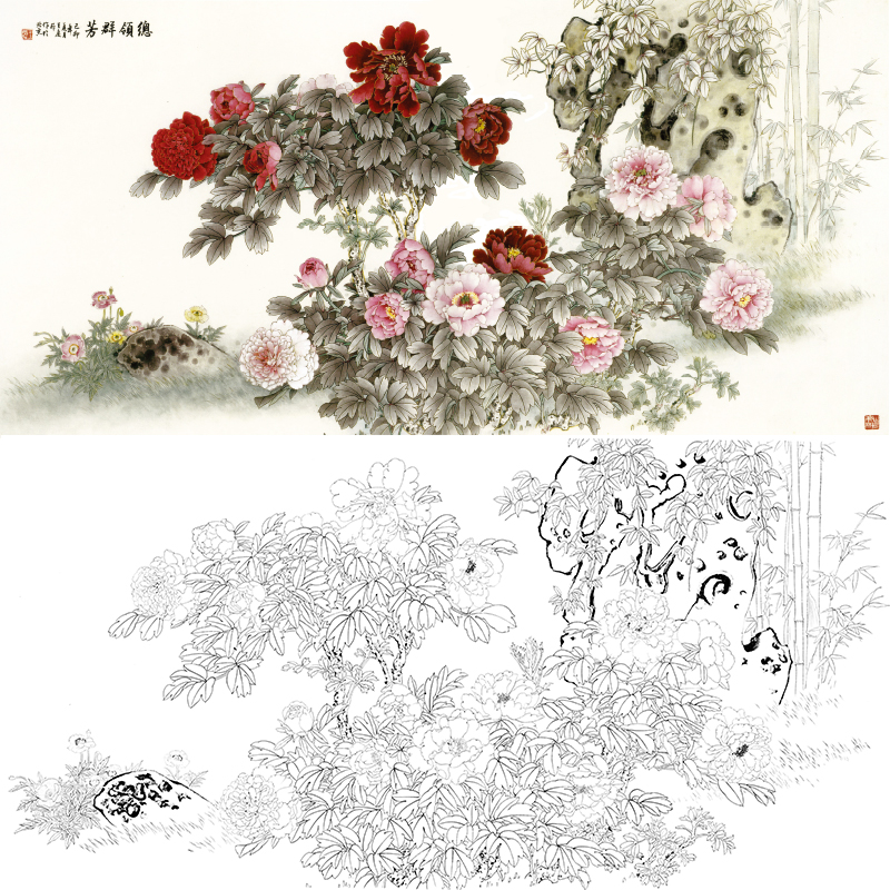 白描底稿-王庆升牡丹--统领群芳qa04 - 工笔底稿商城