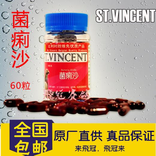 【菌痢沙片】60片，治疗大肠杆、沙门氏菌感染、副伤寒、交叉感染（胜维先） 商品图0