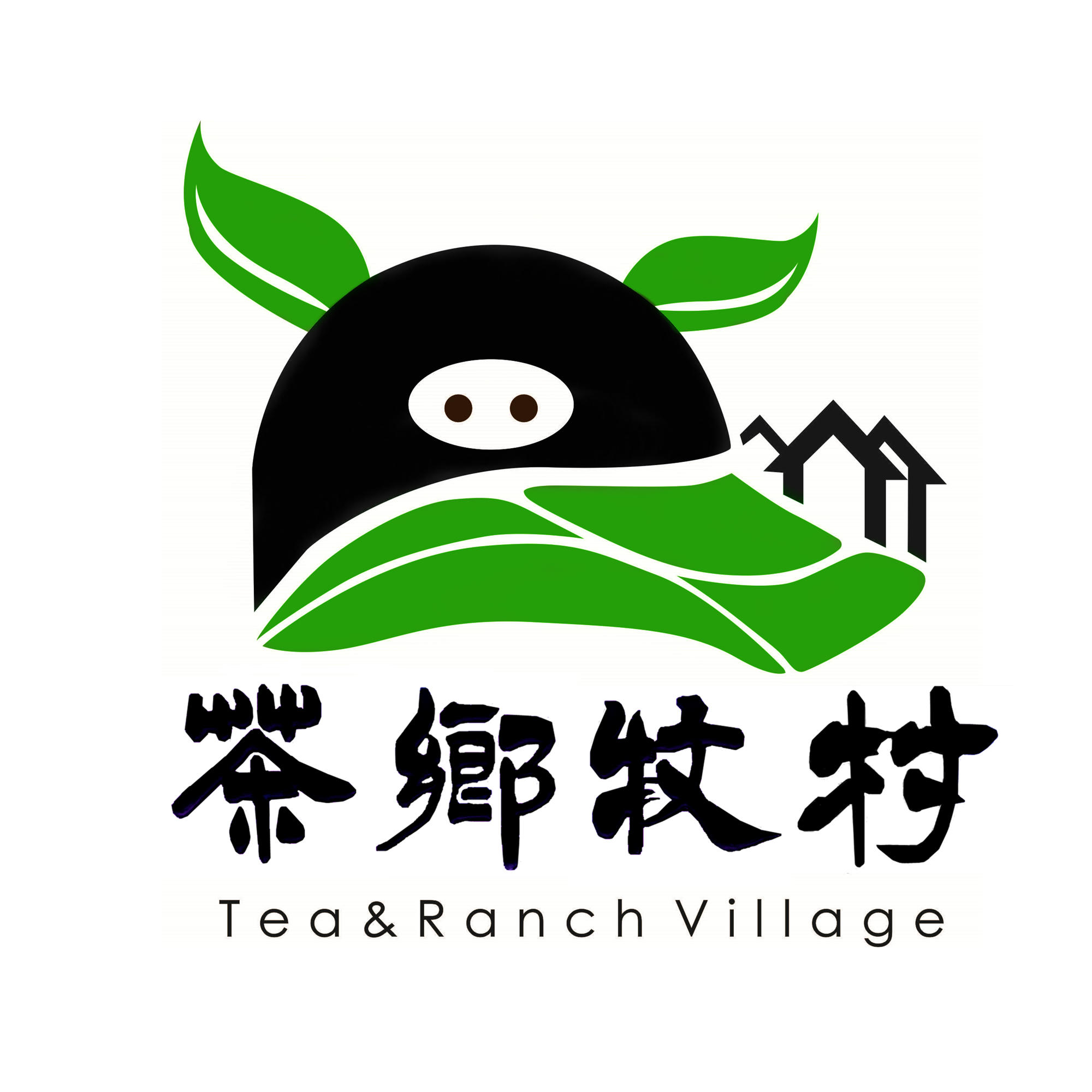 茶乡牧村邛崃黑猪200509