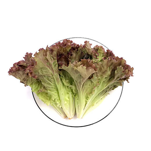 丹阳生菜 220-250g/袋 商品图0