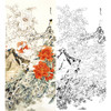 竖幅工笔花鸟白描底稿-王道中牡丹《云中笑》-多种白描尺寸可选-QS03 商品缩略图0