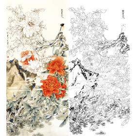 竖幅工笔花鸟白描底稿-王道中牡丹《云中笑》-多种白描尺寸可选-QS03