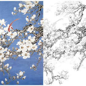 竖幅工笔花鸟白描底稿-王道中玉兰花《石青玉兰》-多种白描尺寸可选-QS11