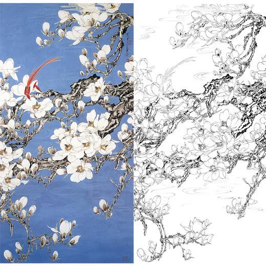 竖幅工笔花鸟白描底稿-王道中玉兰花《石青玉兰》-多种白描尺寸可选-QS11 商品图0