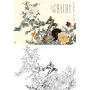 工笔花鸟白描底稿-王道中牡丹-《牡丹富贵图》斗方小品册页-多种白描尺寸可选-QS10 商品缩略图0