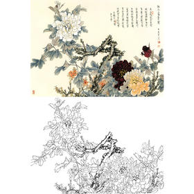 工笔花鸟白描底稿-王道中牡丹-《牡丹富贵图》斗方小品册页-多种白描尺寸可选-QS10