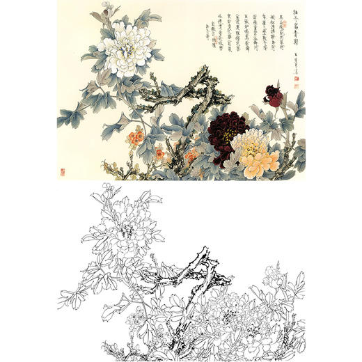 工笔花鸟白描底稿-王道中牡丹-《牡丹富贵图》斗方小品册页-多种白描尺寸可选-QS10 商品图0