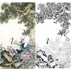 竖幅工笔花鸟白描底稿-王道中-仙鹤《松鹤长春》-多种白描尺寸可选-QS05 商品缩略图0