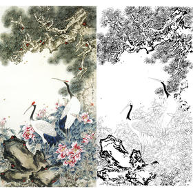 竖幅工笔花鸟白描底稿-王道中-仙鹤《松鹤长春》-多种白描尺寸可选-QS05