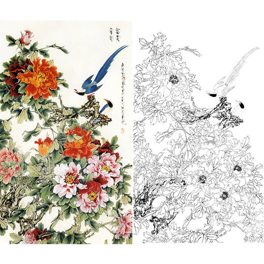 竖幅工笔花鸟白描底稿-王道中牡丹-《富贵长寿》-多种白描尺寸可选-QS08 商品图0