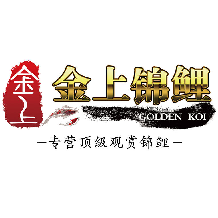 金上锦鲤200509