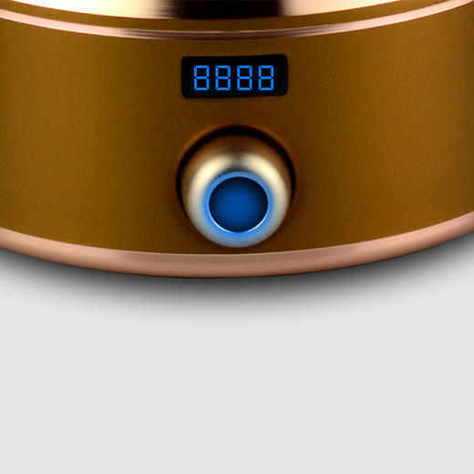 永利汇信轩堂电陶炉创意简约迷你小型茶炉泡茶炉家用电热 商品图4