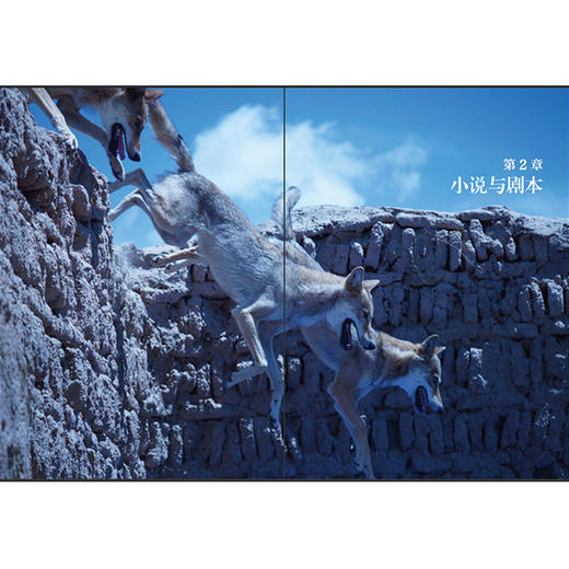 狼图腾:视觉设计与叙事语言 商品图3