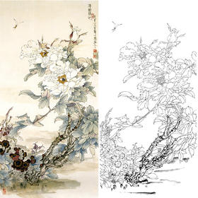 竖幅工笔花鸟白描底稿-王道中牡丹《酒醉杨妃》-多种白描尺寸可选-QS20