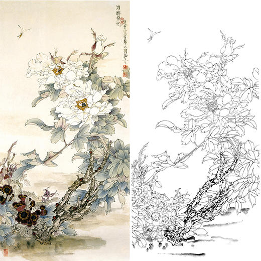 竖幅工笔花鸟白描底稿-王道中牡丹《酒醉杨妃》-多种白描尺寸可选-QS20 商品图0