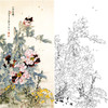 竖幅工笔花鸟白描底稿-王道中牡丹《二乔争辉》-多种白描尺寸可选-QS17 商品缩略图0