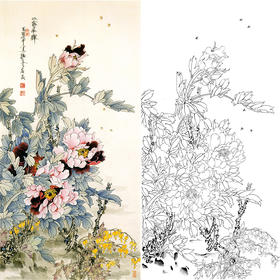 竖幅工笔花鸟白描底稿-王道中牡丹《二乔争辉》-多种白描尺寸可选-QS17