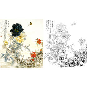 工笔花鸟白描底稿-王道中牡丹-《国色双辉》斗方小品册页-多种白描尺寸可选-QS15