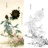 竖幅工笔花鸟白描底稿-王道中牡丹《青龙卧墨池》-多种白描尺寸可选-QS18 商品缩略图0