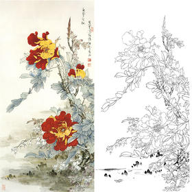 竖幅工笔花鸟白描底稿-王道中牡丹《金背大红》-多种白描尺寸可选-QS19