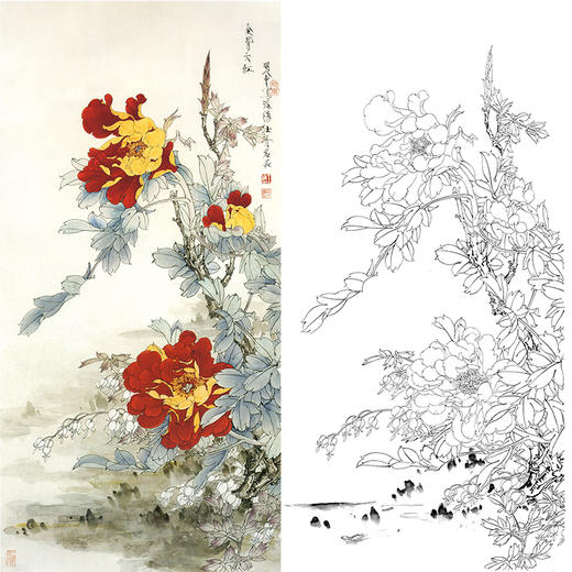 竖幅工笔花鸟白描底稿-王道中牡丹《金背大红》-多种白描尺寸可选-QS19 商品图0