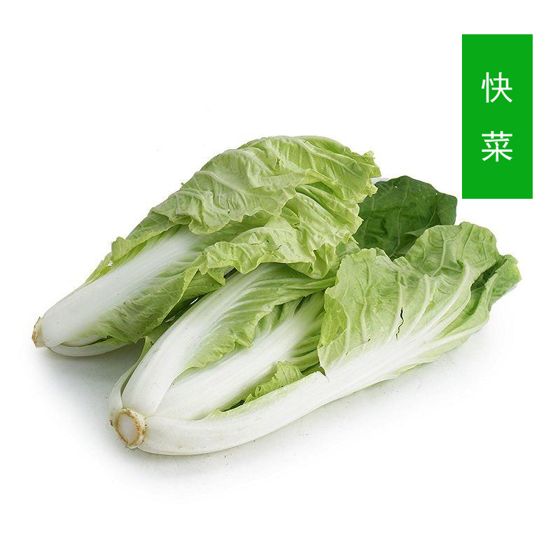 有机快菜 奶白菜 约400g【内蒙古绿康源】