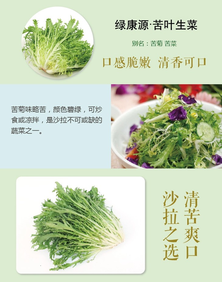 苦苣 苦菊 苦叶生菜 约350g【内蒙古绿康源】