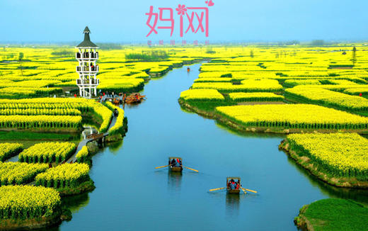 测试，不要购买【妈网春游】2017/*/*  兴化千亩油菜花“世界最美油菜花海” 商品图0