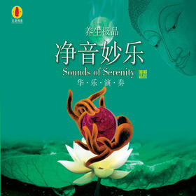 《净音妙乐》/佛音系列FC