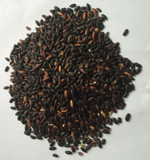 熟血糯米（5斤装）