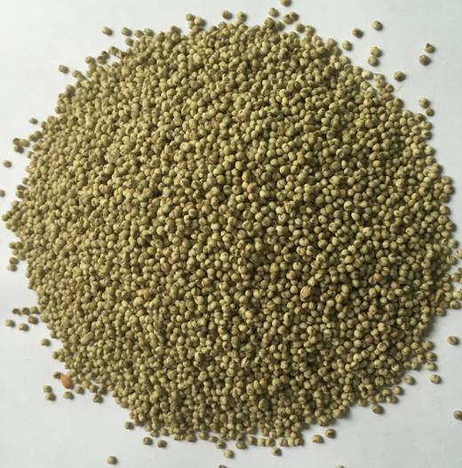 熟黑小米（5斤装） 商品图0