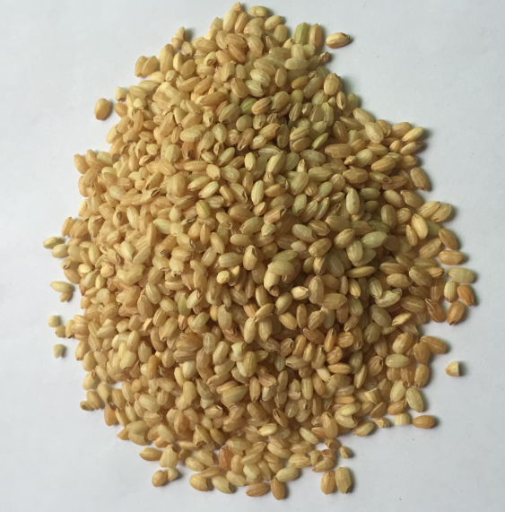 熟糙米（5斤装）