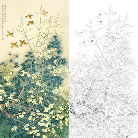 竖幅工笔花鸟白描底稿-周彦生《淡然标格》-多种白描尺寸可选-QN27