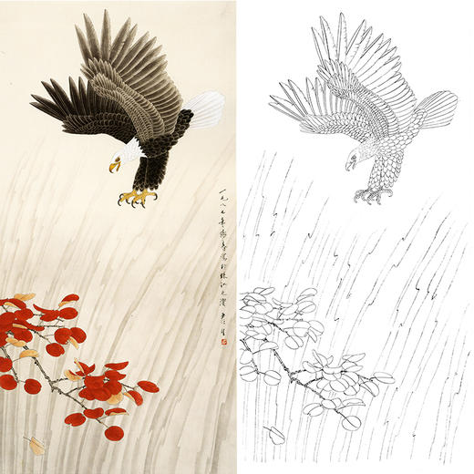 竖幅工笔花鸟白描底稿-鹰-周彦生《雄姿》-多种白描尺寸可选-QN29 商品图0