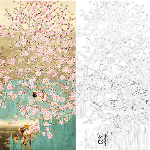 竖幅工笔花鸟白描底稿-鸳鸯-周彦生-《翠红照影》-多种白描尺寸可选-QN23 商品图0