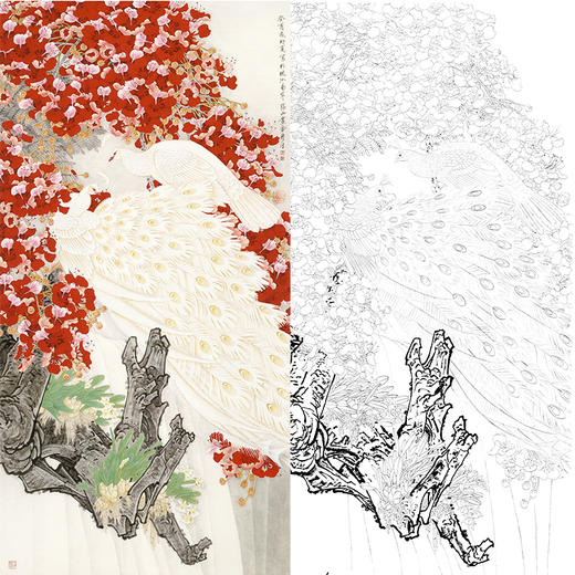 竖幅工笔花鸟白描底稿-周彦生-孔雀《花中俏》-多种白描尺寸可选-QN26 商品图0
