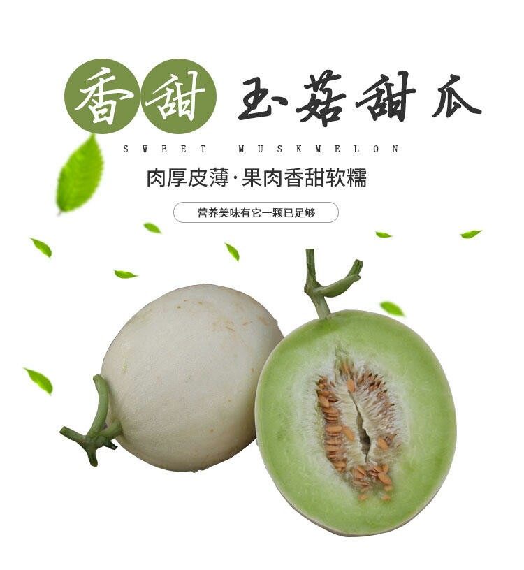 【现摘现发】 上海南汇 玉菇甜瓜 新鲜采摘 包邮