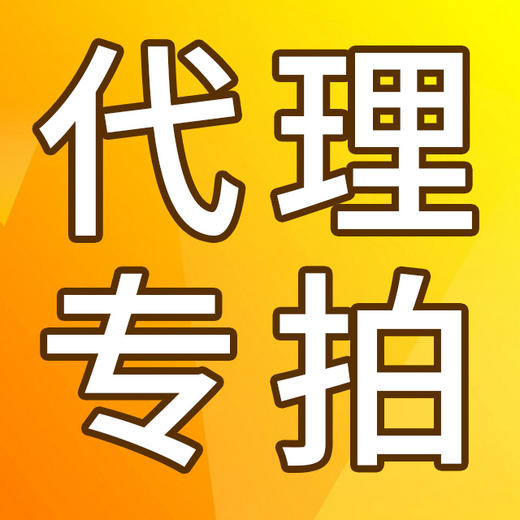 代理商付款专拍 商品图0