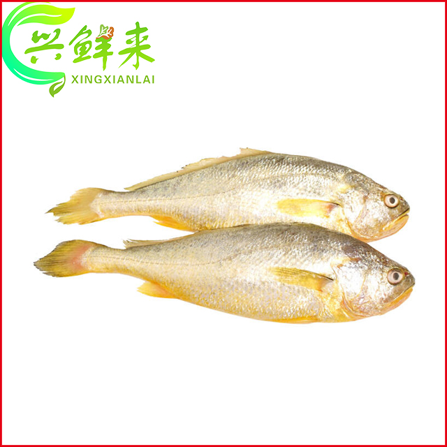 冰鲜黄花鱼(约500g)