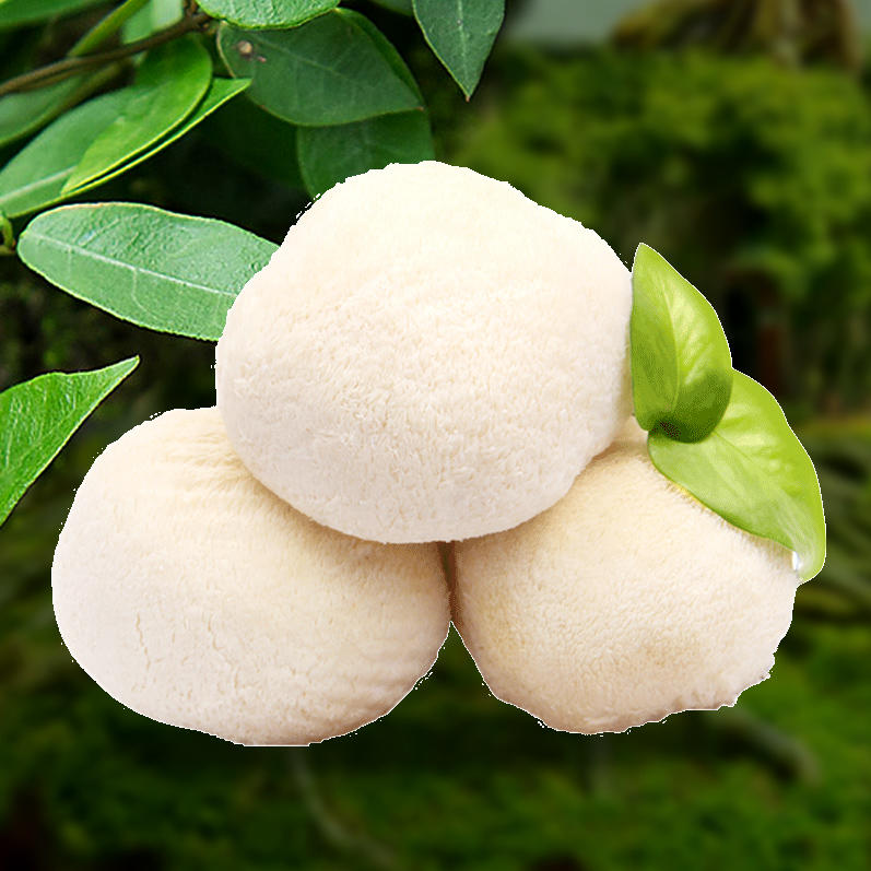 雪乡第一村旗舰店200511